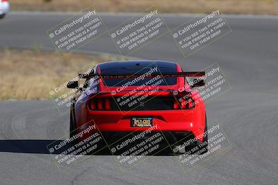 media/Nov-19-2023-Extreme Speed (Sun) [[bd0eec5490]]/Red/Back Shots/